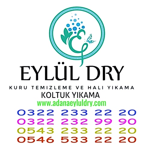 Dry Kuru Temizleme