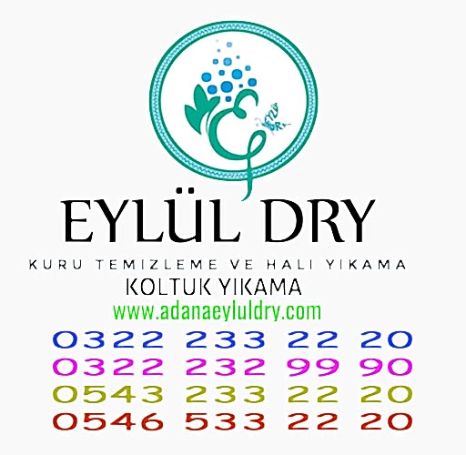 Evde Gelinlik Temizleme