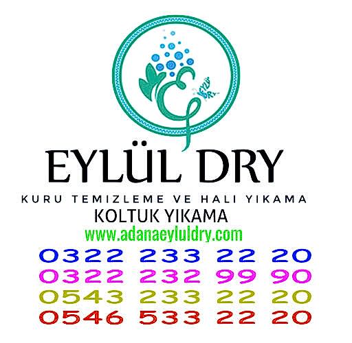 Evden Eve Kuru Temizleme