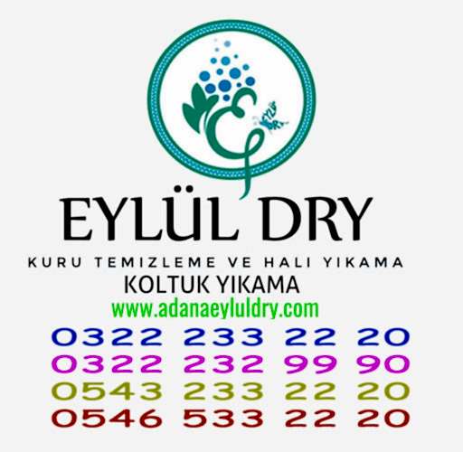 Halı Kuru Temizleme