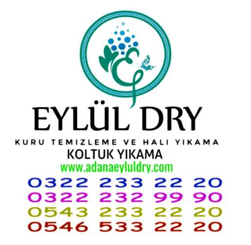 Kuru Temizleme Kimyasalları