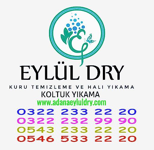 Tellidere Kuru Temizleme