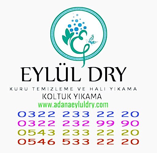 Ütü Hizmeti Kampanya